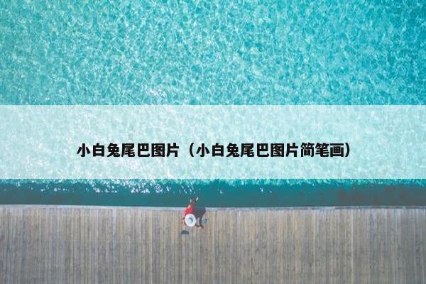 小白兔尾巴图片（小白兔尾巴图片简笔画）