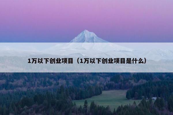 1万以下创业项目（1万以下创业项目是什么）