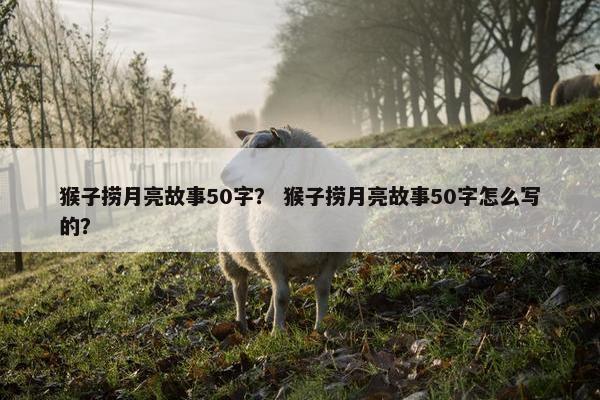 猴子捞月亮故事50字？ 猴子捞月亮故事50字怎么写的？