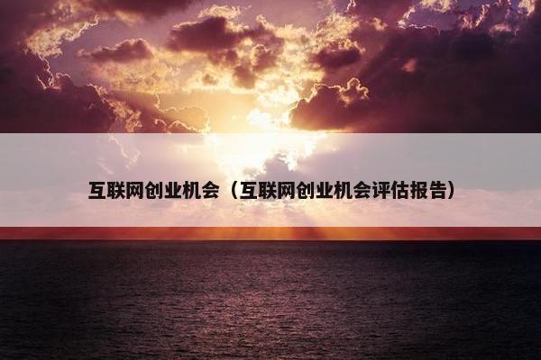 互联网创业机会（互联网创业机会评估报告）
