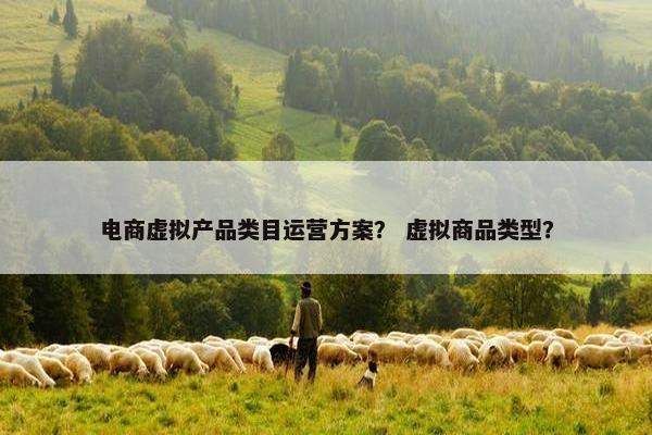 电商虚拟产品类目运营方案？ 虚拟商品类型？