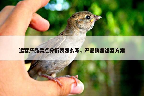 运营产品卖点分析表怎么写，产品销售运营方案