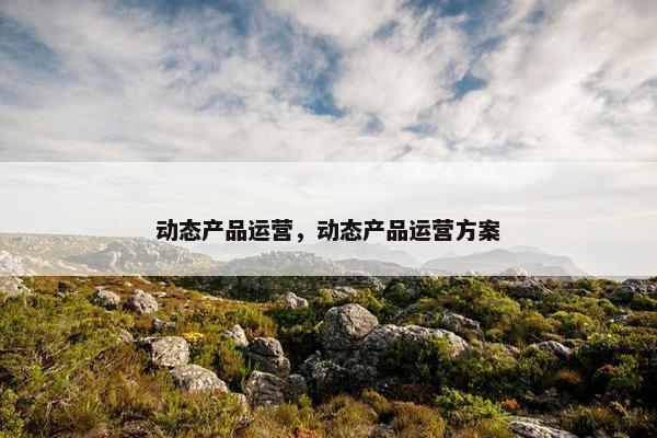 动态产品运营，动态产品运营方案