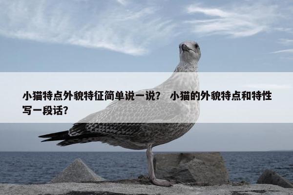 小猫特点外貌特征简单说一说？ 小猫的外貌特点和特性写一段话？