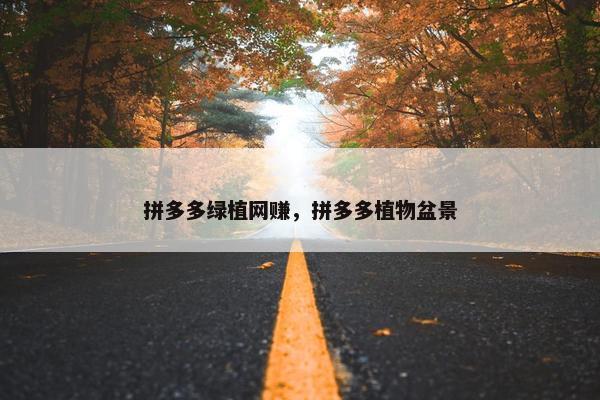 拼多多绿植网赚，拼多多植物盆景