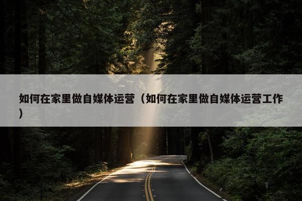 如何在家里做自媒体运营（如何在家里做自媒体运营工作）