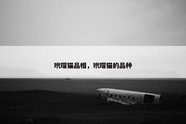 玳瑁猫品相，玳瑁猫的品种