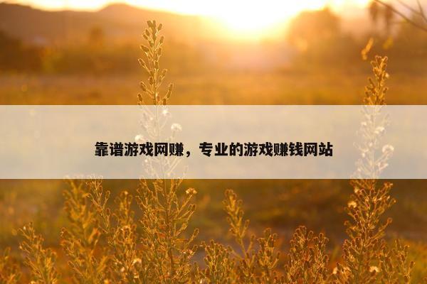 靠谱游戏网赚，专业的游戏赚钱网站