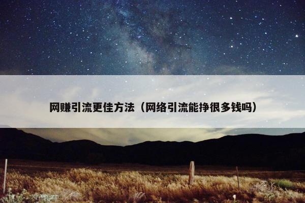 网赚引流更佳方法（网络引流能挣很多钱吗）