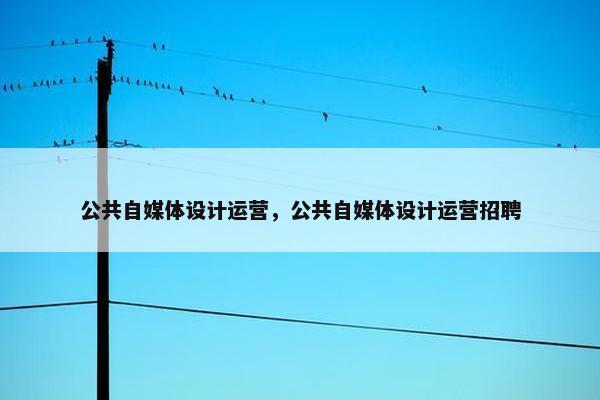 公共自媒体设计运营，公共自媒体设计运营招聘