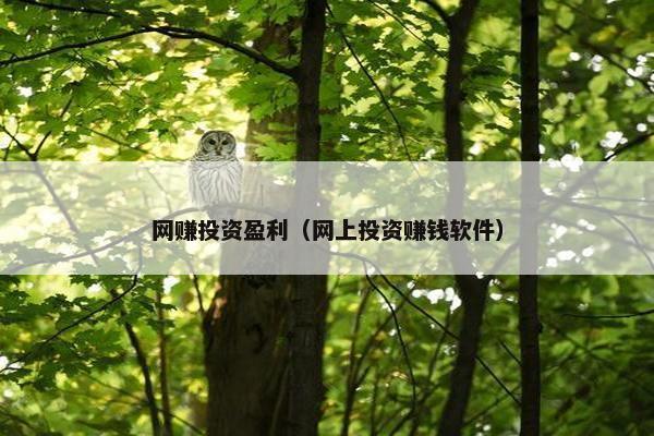 网赚投资盈利（网上投资赚钱软件）