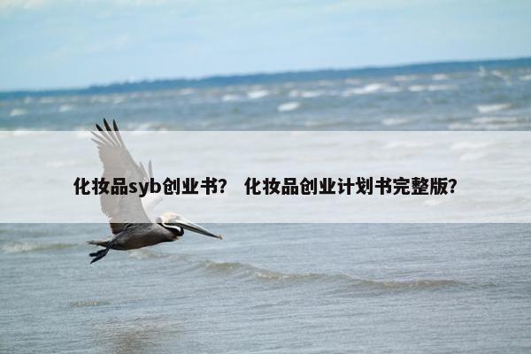 化妆品syb创业书？ 化妆品创业计划书完整版？