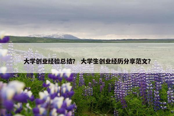 大学创业经验总结？ 大学生创业经历分享范文？
