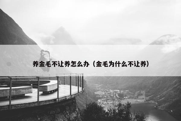 养金毛不让养怎么办（金毛为什么不让养）