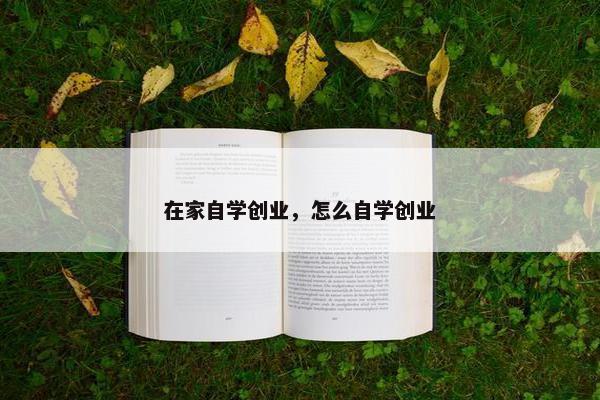 在家自学创业，怎么自学创业