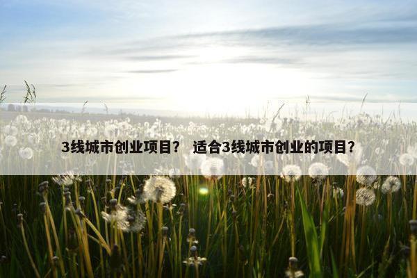 3线城市创业项目？ 适合3线城市创业的项目？