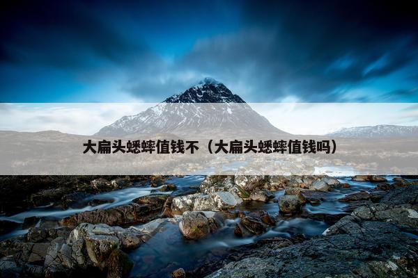 大扁头蟋蟀值钱不（大扁头蟋蟀值钱吗）