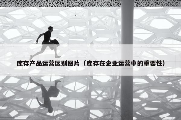库存产品运营区别图片（库存在企业运营中的重要性）