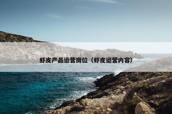 虾皮产品运营岗位（虾皮运营内容）
