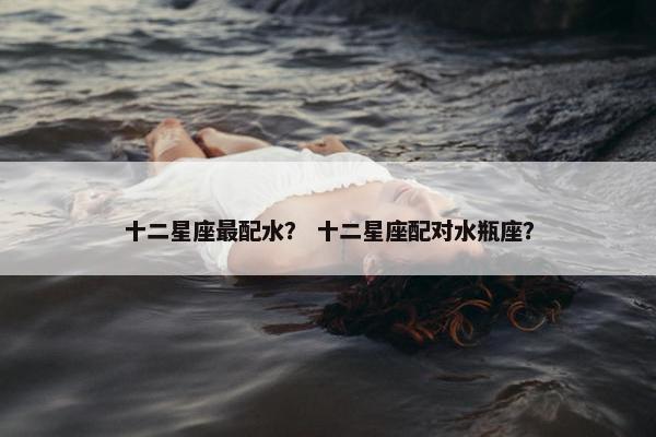 十二星座最配水？ 十二星座配对水瓶座？
