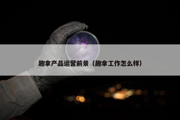 趣拿产品运营前景（趣拿工作怎么样）