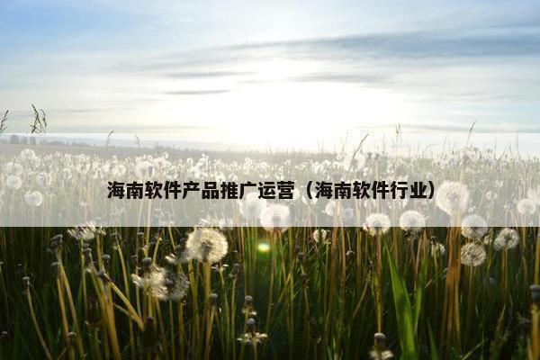 海南软件产品推广运营（海南软件行业）