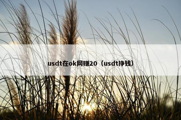 usdt在ok网赚20（usdt挣钱）