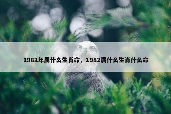 1982年属什么生肖命，1982属什么生肖什么命