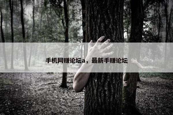 手机网赚论坛a，最新手赚论坛