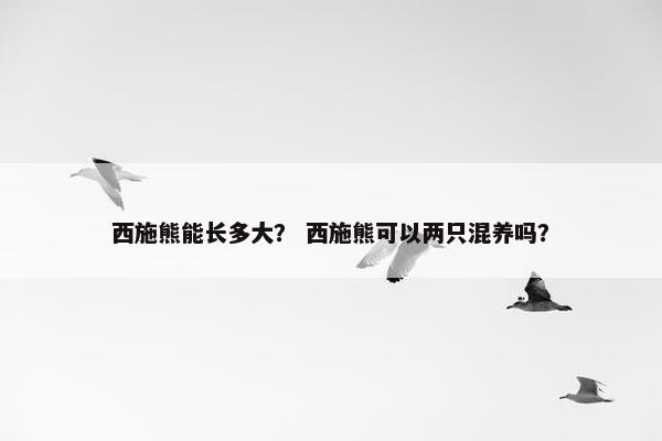西施熊能长多大？ 西施熊可以两只混养吗？