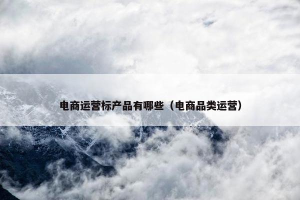 电商运营标产品有哪些（电商品类运营）