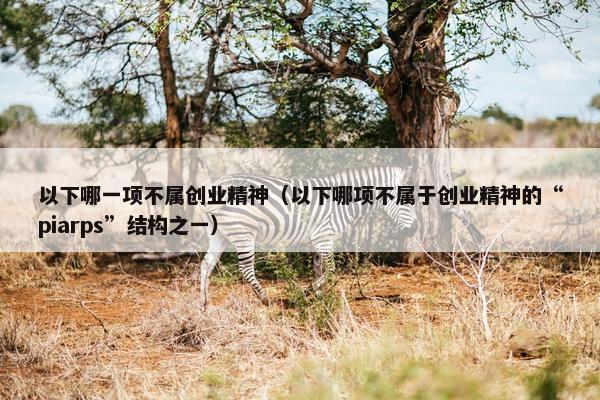 以下哪一项不属创业精神（以下哪项不属于创业精神的“piarps”结构之一）