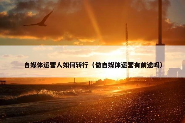 自媒体运营人如何转行（做自媒体运营有前途吗）
