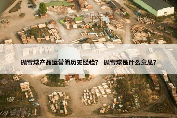 抛雪球产品运营简历无经验？ 抛雪球是什么意思？