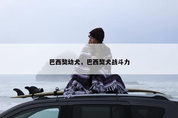 巴西獒幼犬，巴西獒犬战斗力