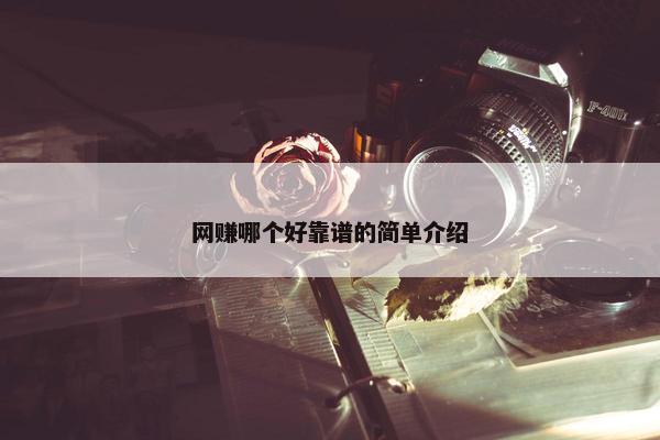 网赚哪个好靠谱的简单介绍