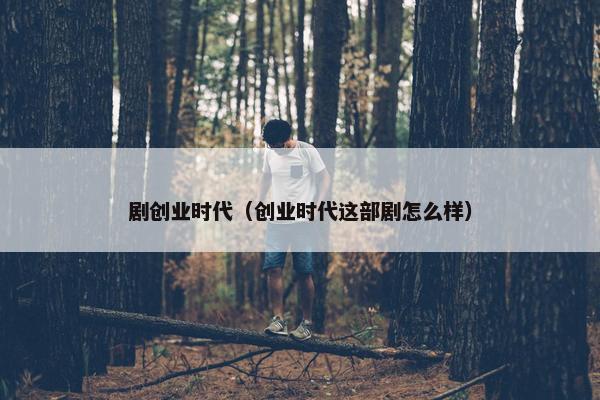 剧创业时代（创业时代这部剧怎么样）