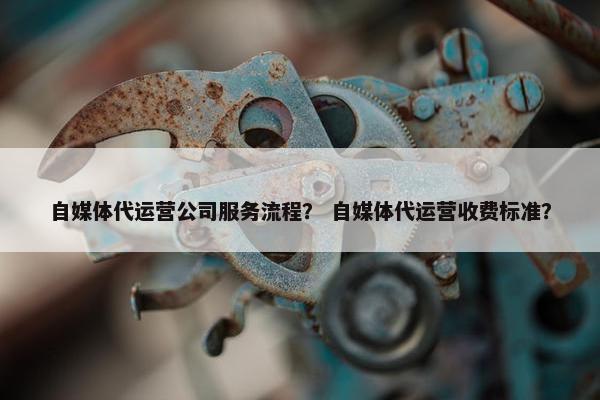 自媒体代运营公司服务流程？ 自媒体代运营收费标准？