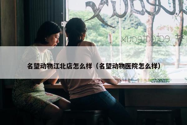 名望动物江北店怎么样（名望动物医院怎么样）