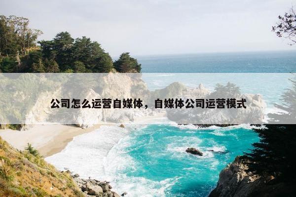 公司怎么运营自媒体，自媒体公司运营模式