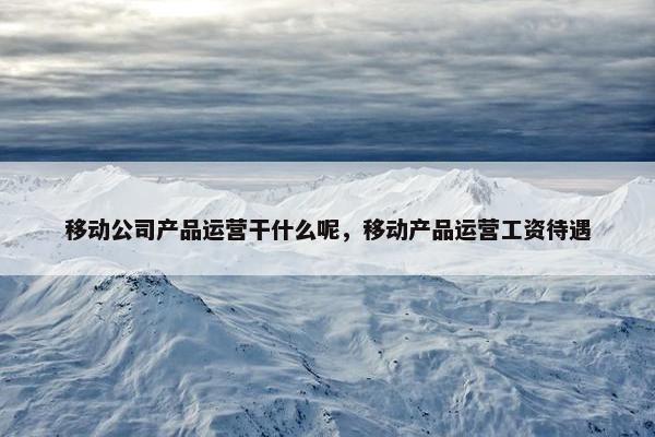 移动公司产品运营干什么呢，移动产品运营工资待遇