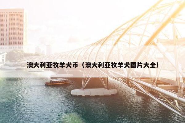 澳大利亚牧羊犬币（澳大利亚牧羊犬图片大全）