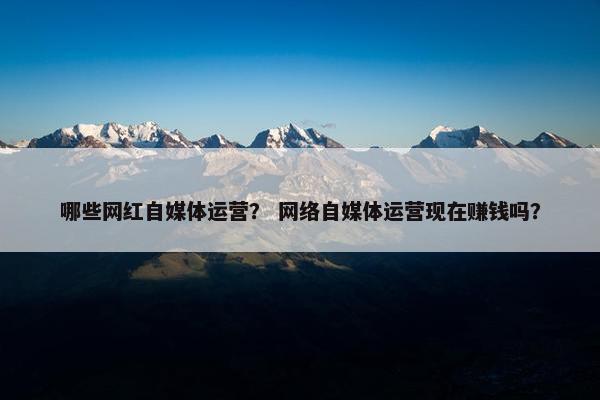 哪些网红自媒体运营？ 网络自媒体运营现在赚钱吗？