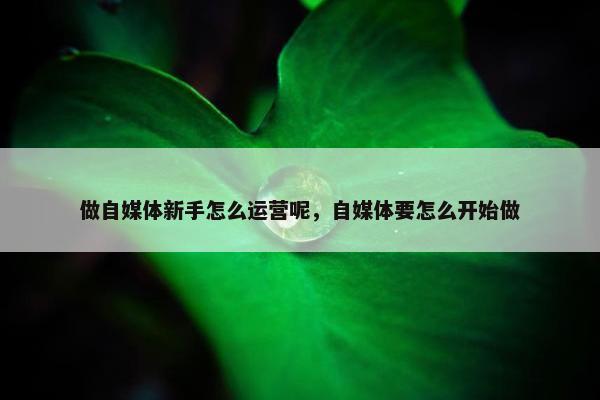 做自媒体新手怎么运营呢，自媒体要怎么开始做