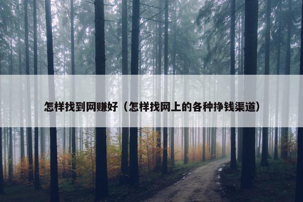 怎样找到网赚好（怎样找网上的各种挣钱渠道）