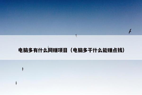 电脑多有什么网赚项目（电脑多干什么能赚点钱）