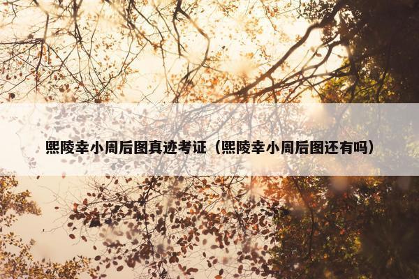 熙陵幸小周后图真迹考证（熙陵幸小周后图还有吗）