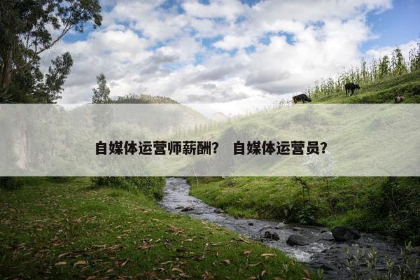 自媒体运营师薪酬？ 自媒体运营员？