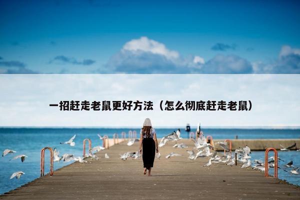 一招赶走老鼠更好方法（怎么彻底赶走老鼠）