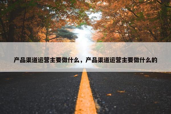 产品渠道运营主要做什么，产品渠道运营主要做什么的
